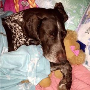 Meet your Posher, Lindsey